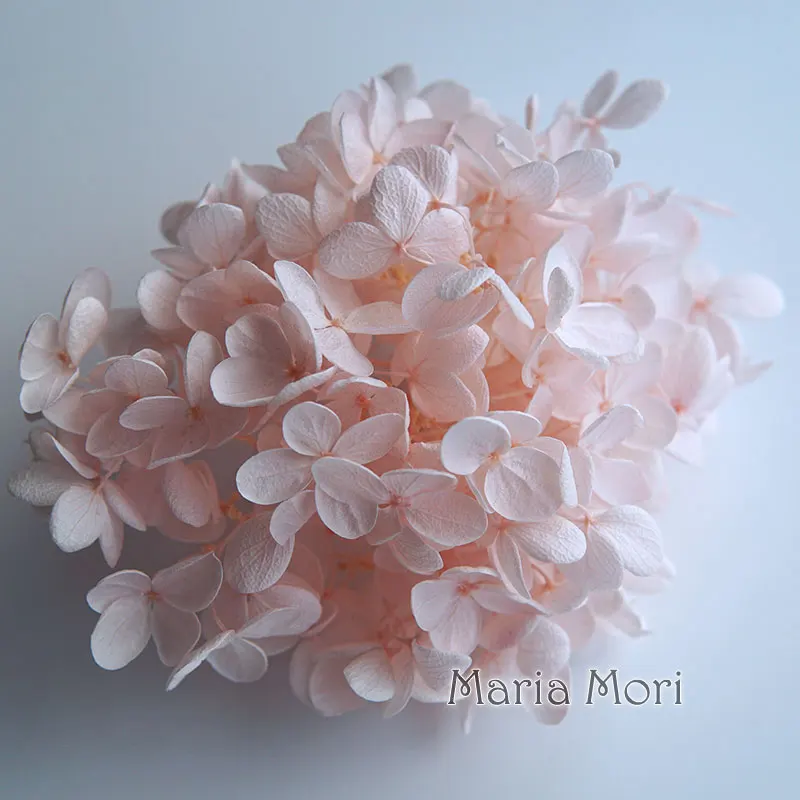 Natural Real Hydrangea Paniculata Ellipse Petals Flowers Office Decor Crystal Glue DIY Flowers Scented Candles Material