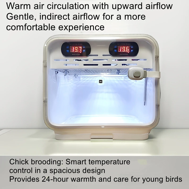 

Smart Heated Incubator for Raising Baby Birds and Chicks | Incubator for 0-Day-Old Parrot Chicks