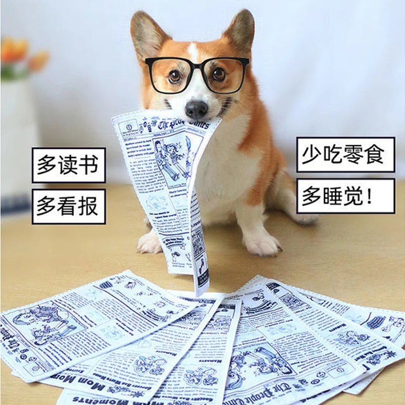 Newspaper dog toys Funny  Paper rubbing sound Small medium chew dog toys Bite resistant Tissue replacement dog Clean teeth toys