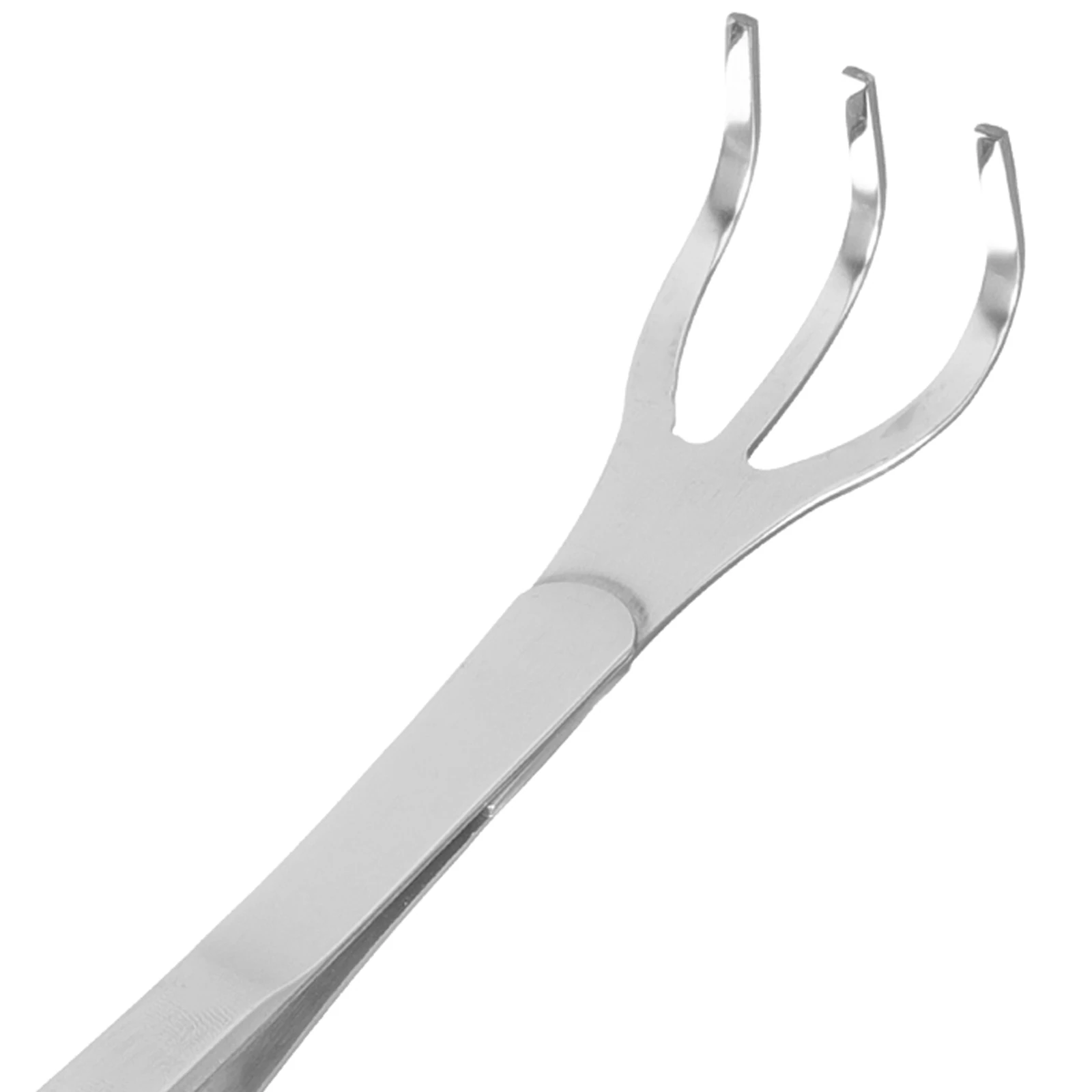 

1 set Bonsai Tweezers Stainless Steel Garden Rake Tool Small Portable Moss Planting Spatula Set for Trees H