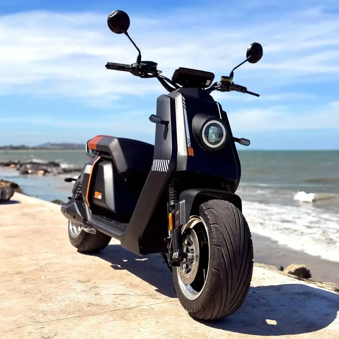 

ForEEC/COC Certified Moto Electrica Off-Road Motorcycles 2000W 3000W Motor 60V Fat Tires Electric Motorcycle 80km/h 200kg Load