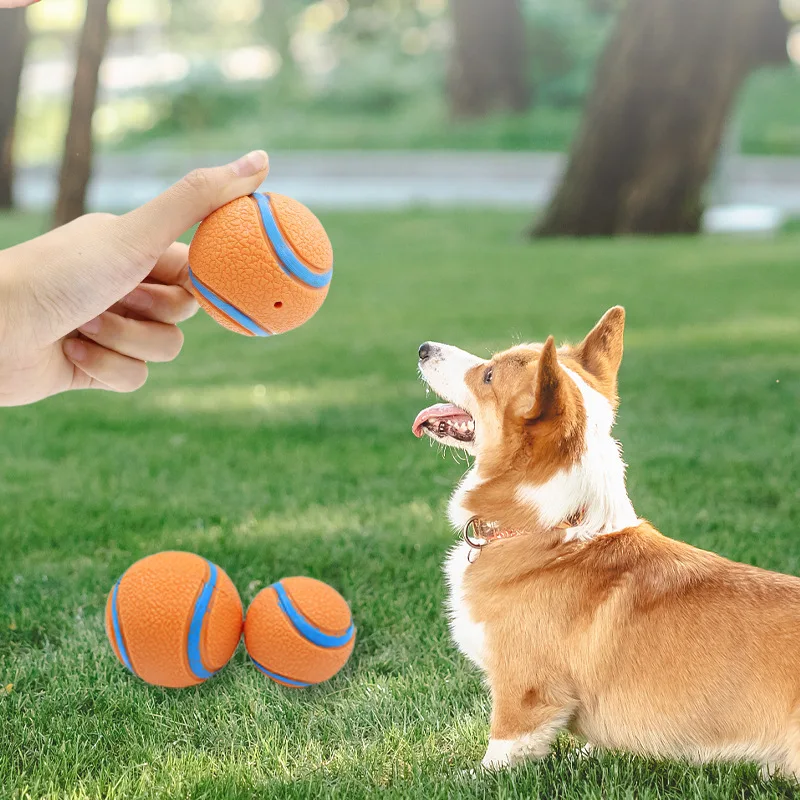 Thumbnail 4 - #2 Budget Puppy Fetch Toys for Smart Shoppers