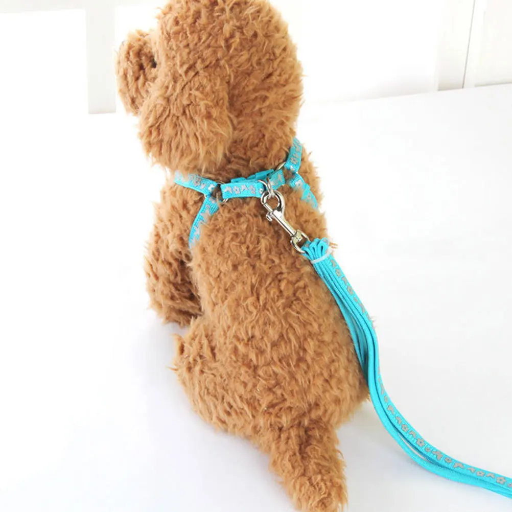 كلب المقود عاكس محبوك مقاومة للاهتراء خفيفة الوزن دائم في الهواء الطلق القط هريرة المشي حبل جرو التدريب المقود #1