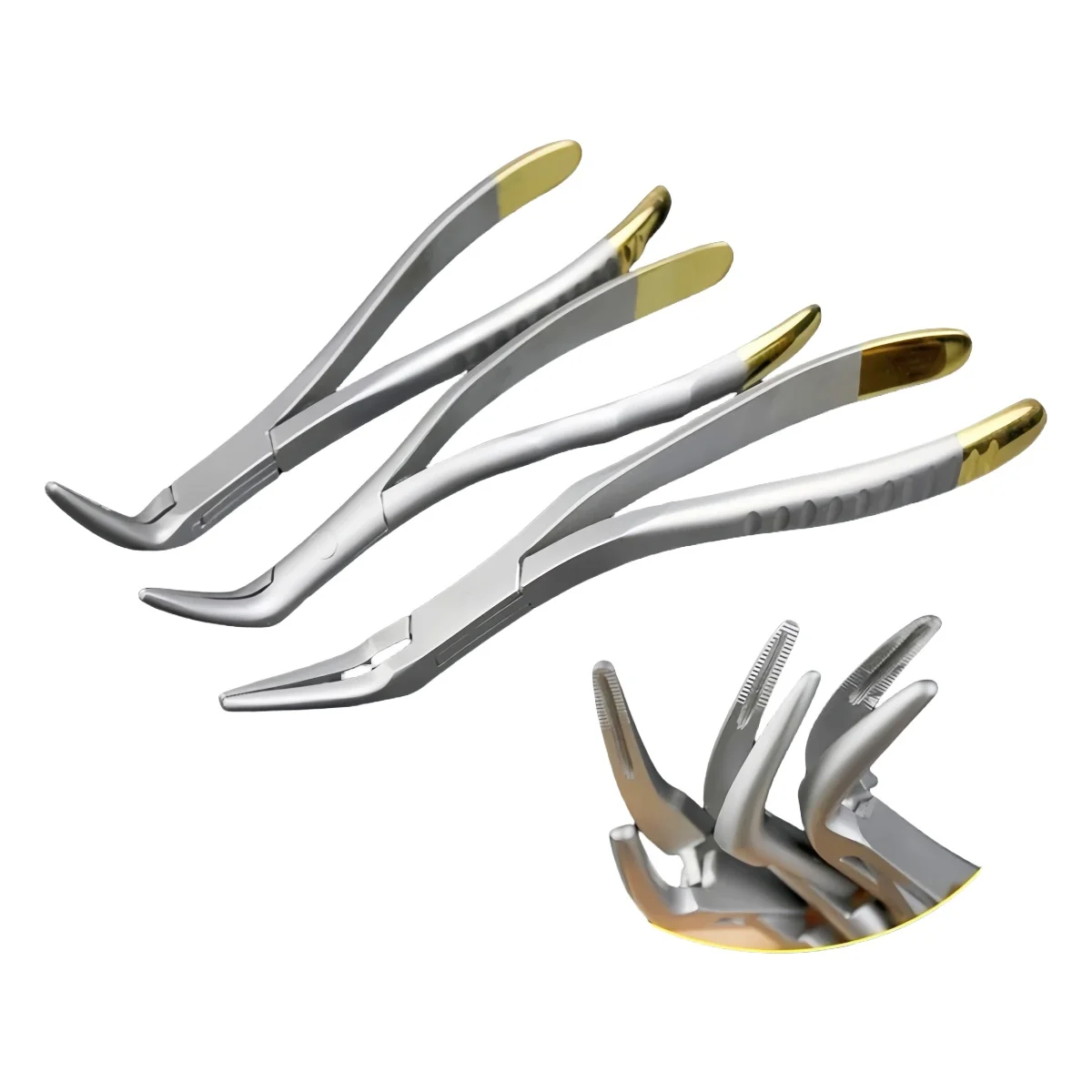 1pc Dental Root Fragment Tooth Extraction Forceps Stainless Steel Curved Beak Serrated Maxillary Mandibular Autoclavable Tools