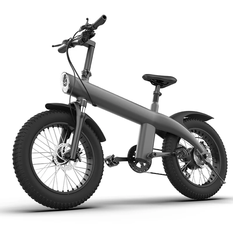 Electric Bike Fat Tire Ebike 1000W 20INCH All Terrain for Adults Men Women Urban Commuting Outdoor Travel Campus Riding High Spe