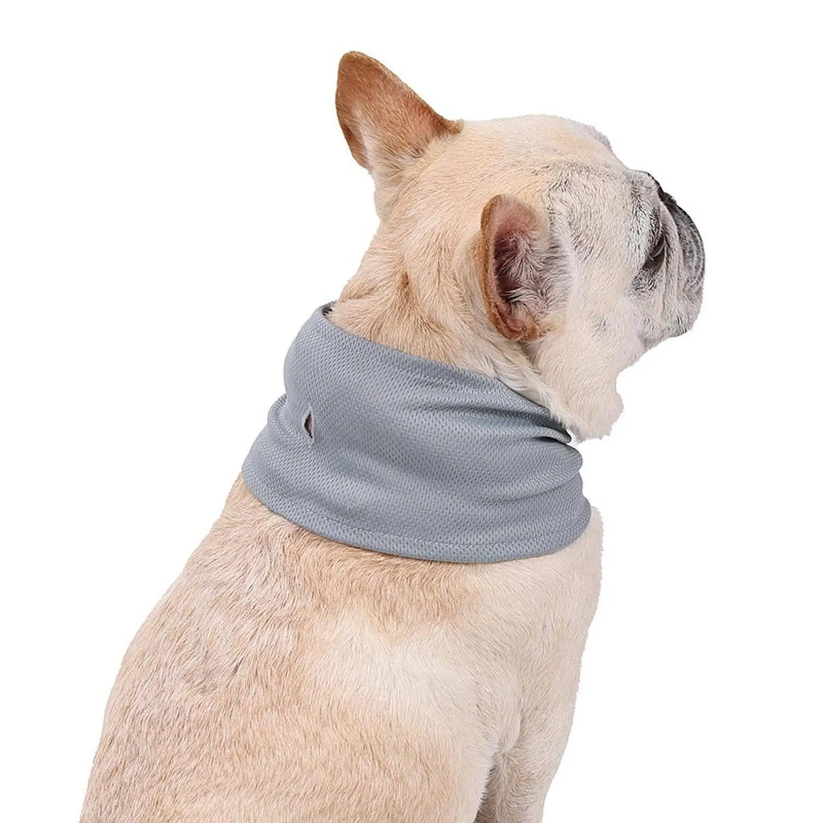 Pet Dog Cooling Bandana Summer Instant Cooling Scarf Cats Collar Ice Towels for Bulldog Small Medium Large Dogs Cool Collars