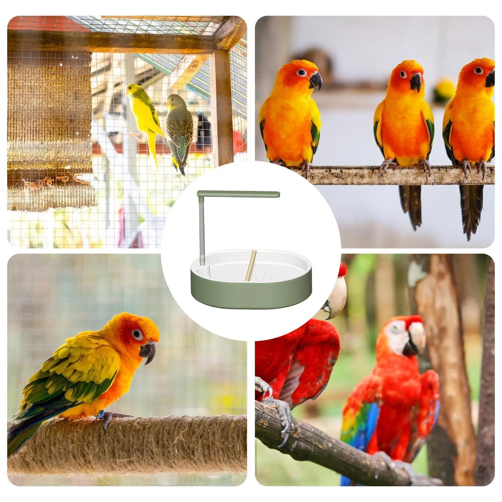 

Автоматическая ванна-душ для птиц Parrot: электрическая USB-ванна с циркуляцией воды для попугаев, неразлучников, корелл и других птиц. Игрушка для птиц.