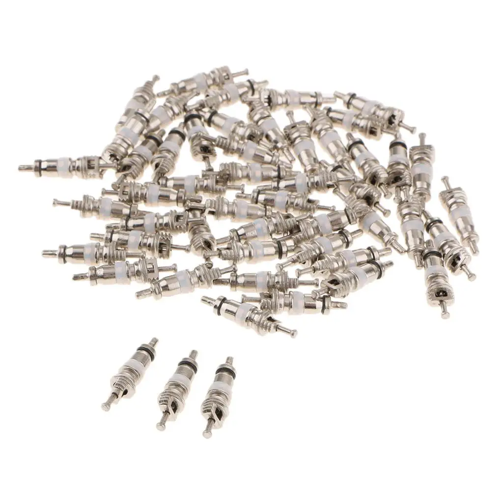 50 Pieces Tire Valve Stem Valve nozzle Set for Car/Automotive