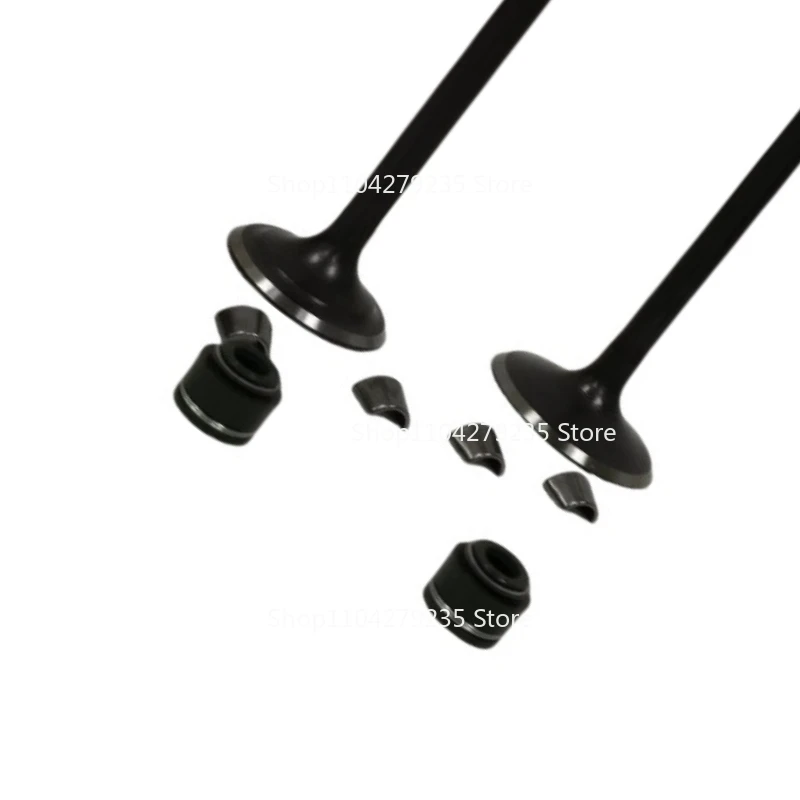 

Клапан двигателя мотоцикла подходит для RATO VORRTX250 CPS250 RBT250 RW172FMM сальник