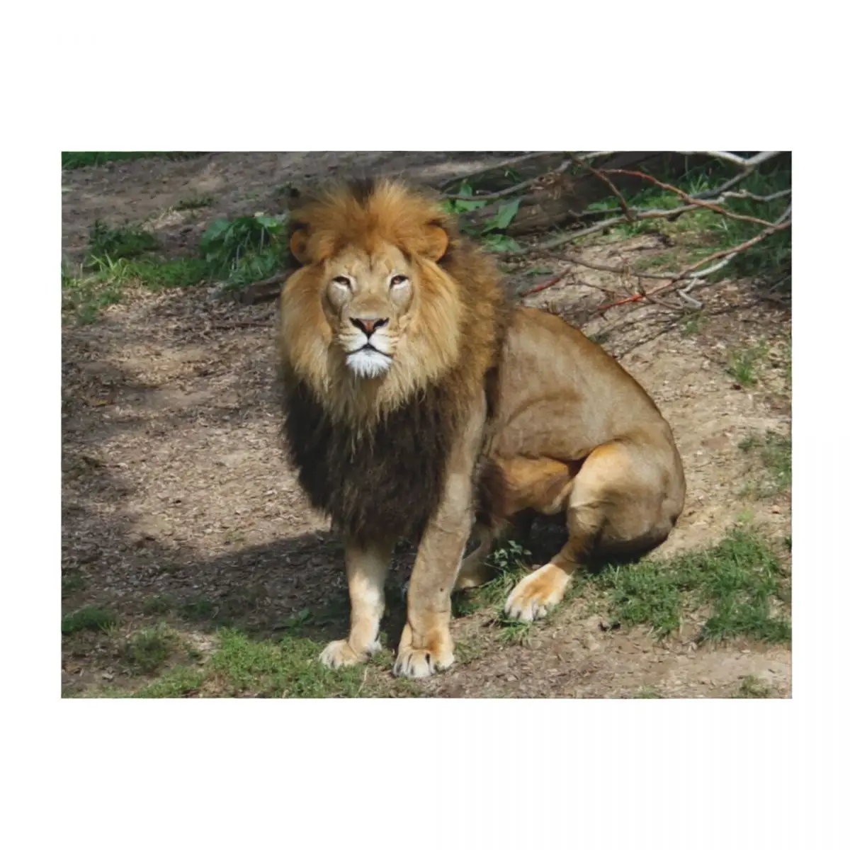 

Lion 6913 Throw Blanket Tourist Decorative Sofas Single Flannel Blankets