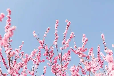 

Алюминиевый сервопривод FOR AXIAL 1/30 SCX30 K10, 28T, совместимый с оригинальными сервоприводами.