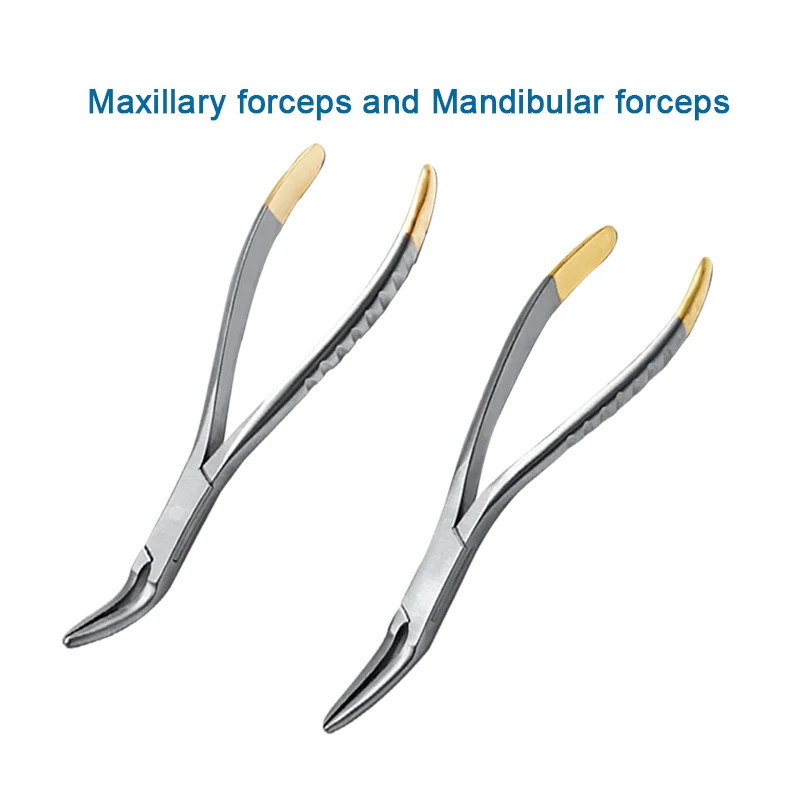 

Stainless Steel Dental Material Maxillary Forceps Mandibular Forceps Golden Handle Extraction Forceps Dentist Tools