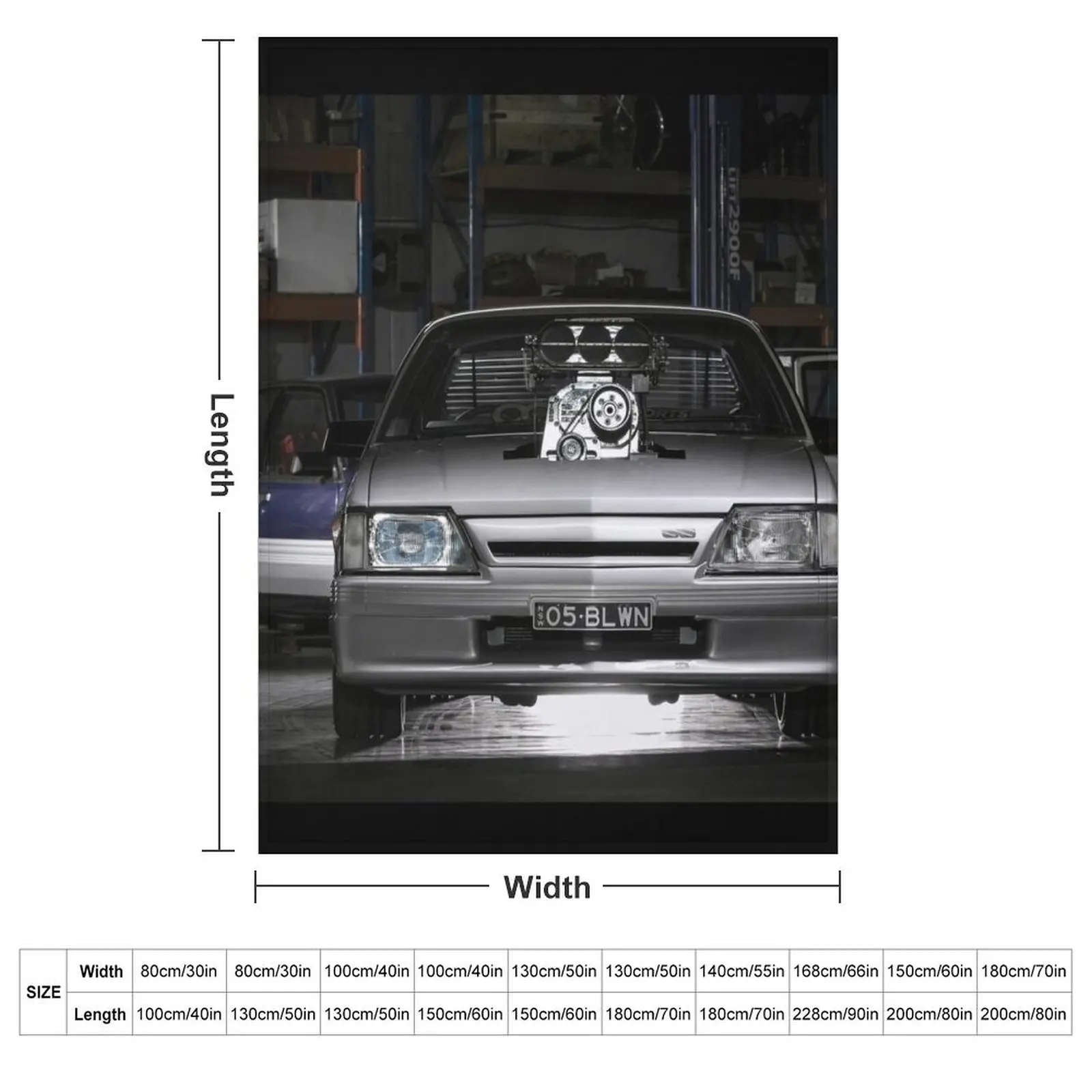 Anthony Dooly's Holden VK Commodore Throw Blanket christmas gifts Cute Plaid Picnic Custom Blankets