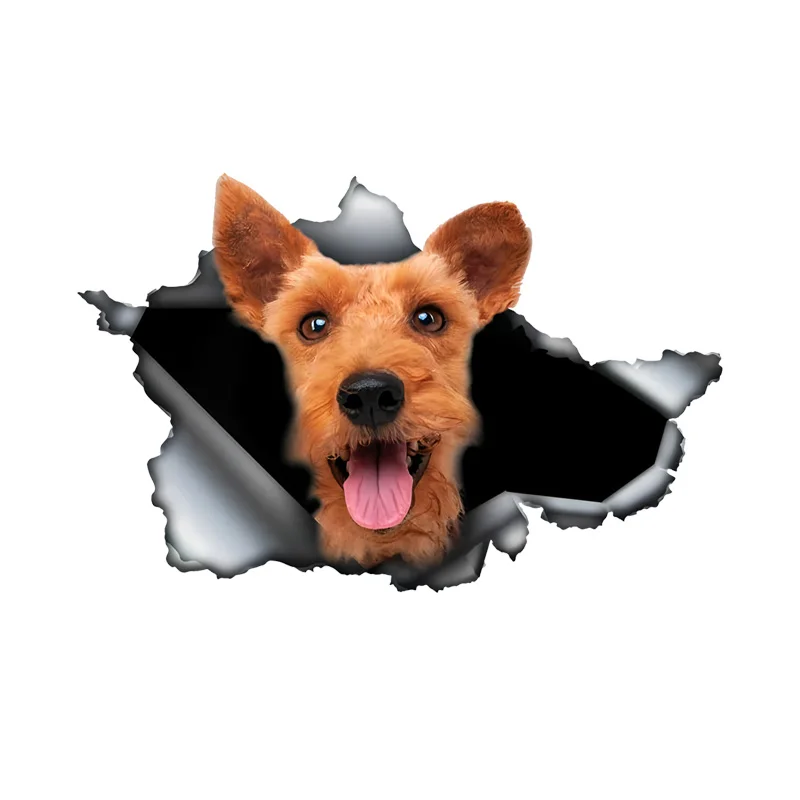 

DK461# Welsh Terrier Car Stickers Funny Waterproof Vinyl Decal Motorcycle Decorative Accessories, Used for Car, Motorcycle, Lapt