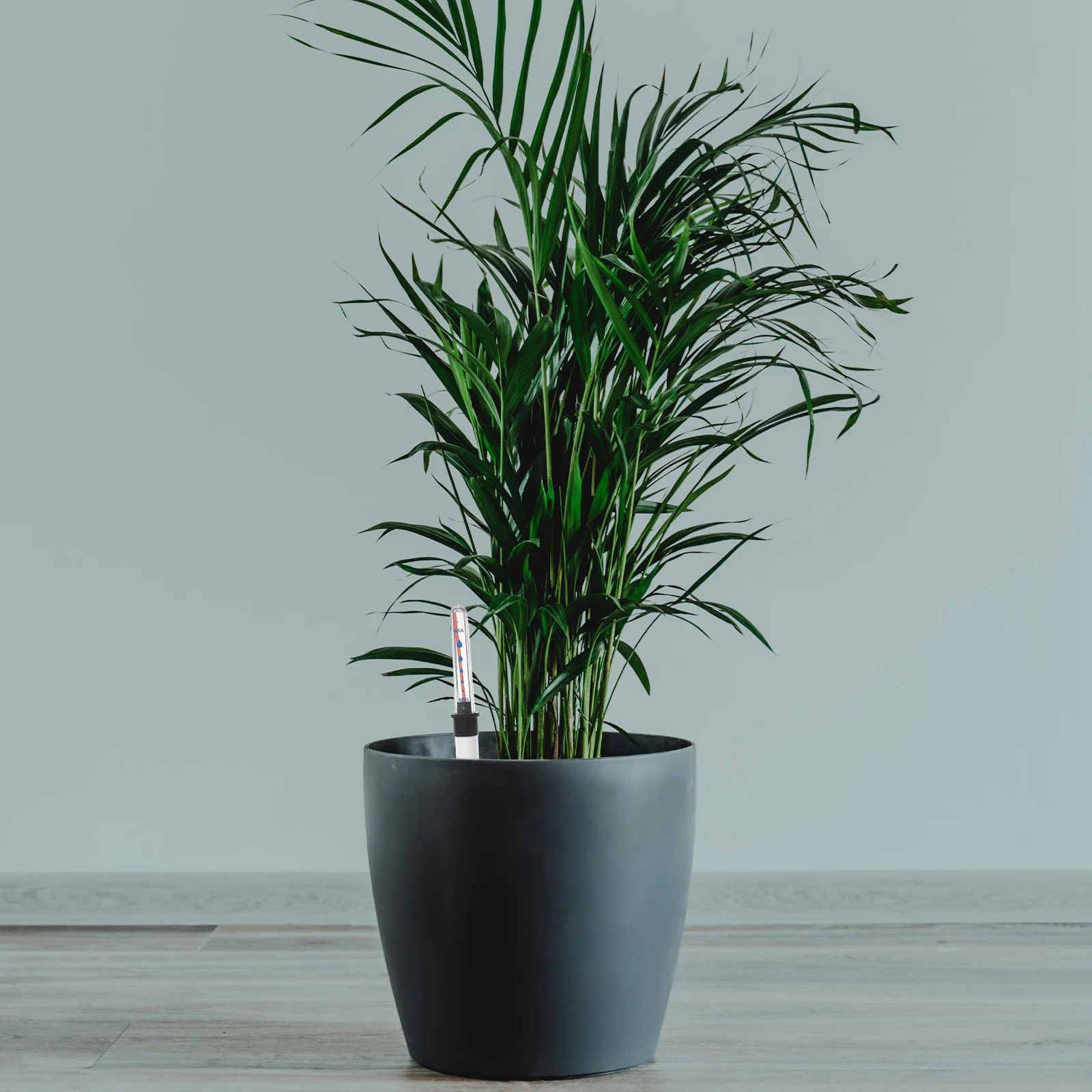 

2Pcs Water Shortage Reminder for Plants Clear Water Level Indicator Gauge with Floating Buoy for All Flower Pots Home Garden Use