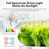 26938-c0bd0e.jpg Countertop hydroponics growing system Premium 12-Pod Herb Germination Kit White LED Grow Light