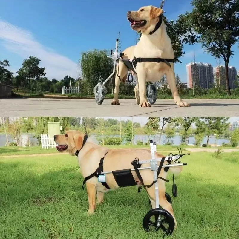 Pet wheelchair, dog rehabilitation walking assistance vehicle, medium and large disability dog transportation vehicle