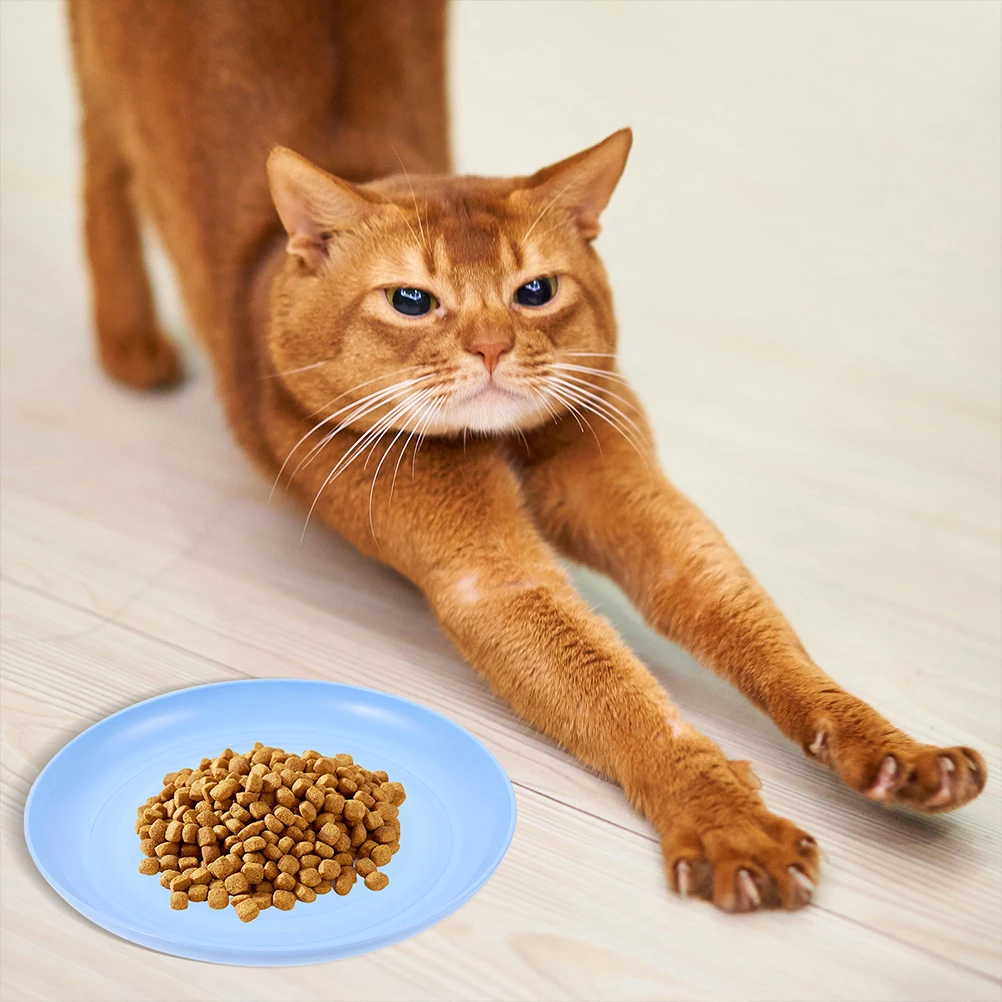 

4pcs Bowl Set Shallow Pet Feeding Plates Flat Durable Bowls Small Cats Kitten Spill Resistant Easy Clean Stable Base Cat Food