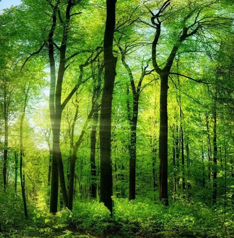 

Пазлы из 1314/1000/520 элементов серии «Пейзажи» для игровой комнаты, спальни, гостиной – сложные семейные игры для совместного досуга