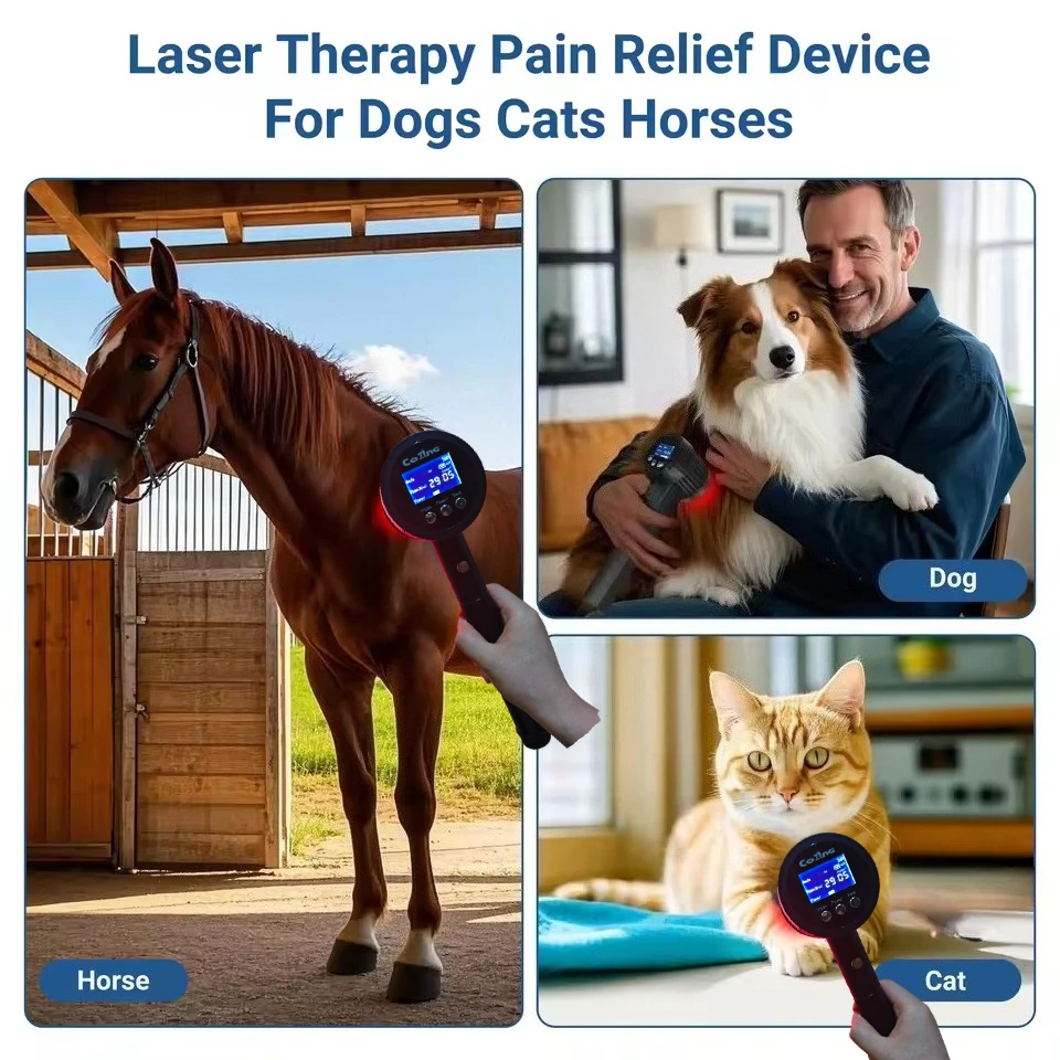

5W equine laser therapy machine pain relief for sale for Home or Clinice Use