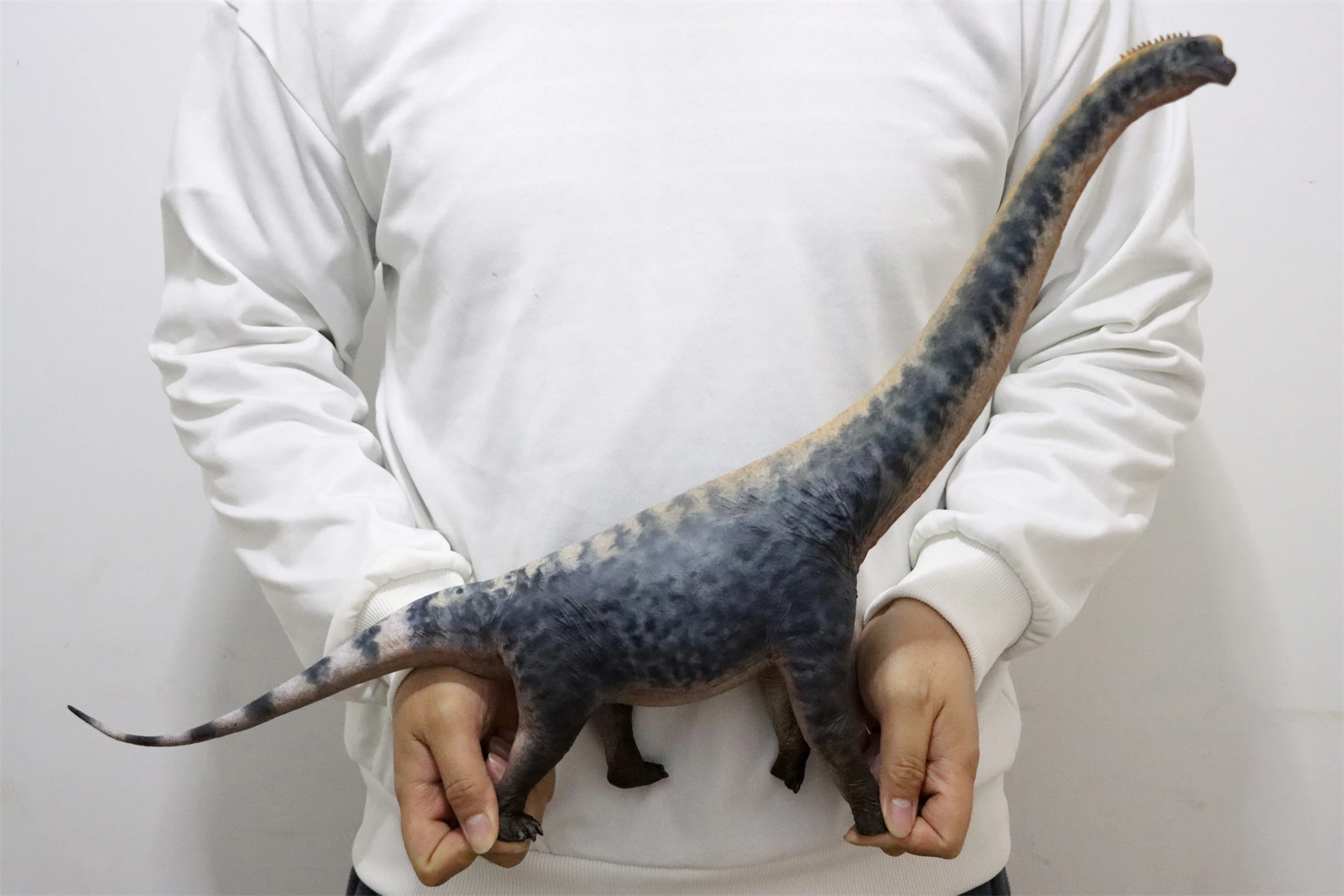HAOLONGGOOD 1:35 スケールブラキオサウルスモデルブラキオサウリデ 