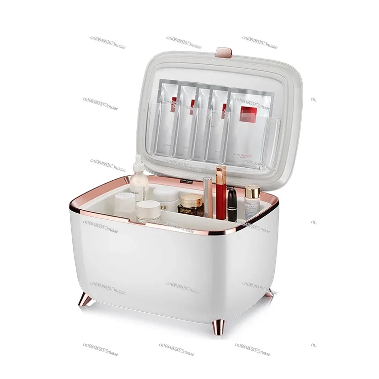 

Portable 10L Mini Fridge DC 12V AC 110V 240V Cosmetic Care Fridge Freezer