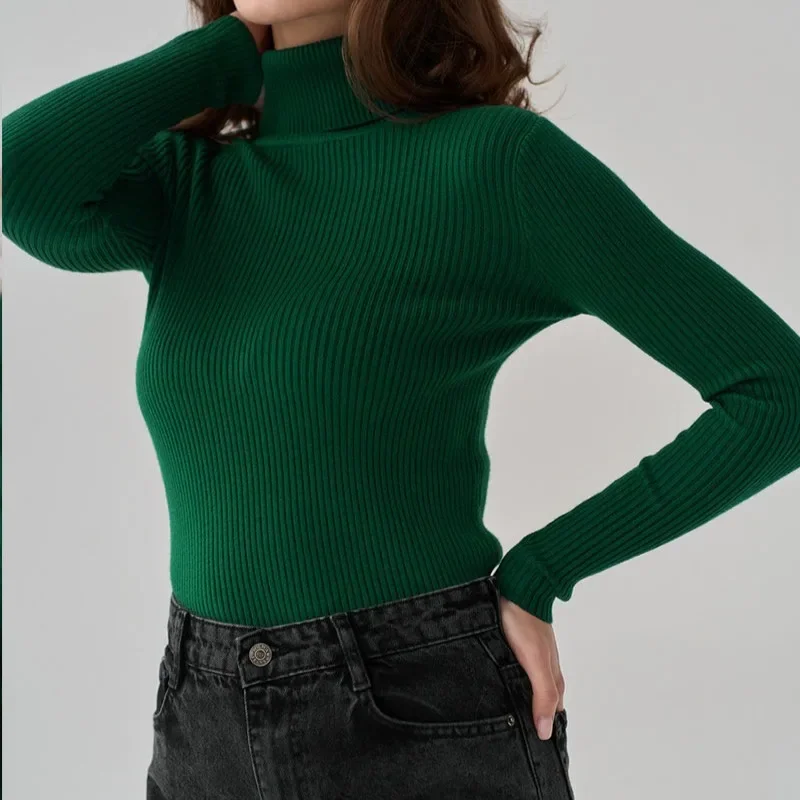 2024 Basic Turtleneck Women Sweaters Autumn Winter Tops Slim Women Pullover Knitted Sweater Jumper Soft Warm Multiple Colors