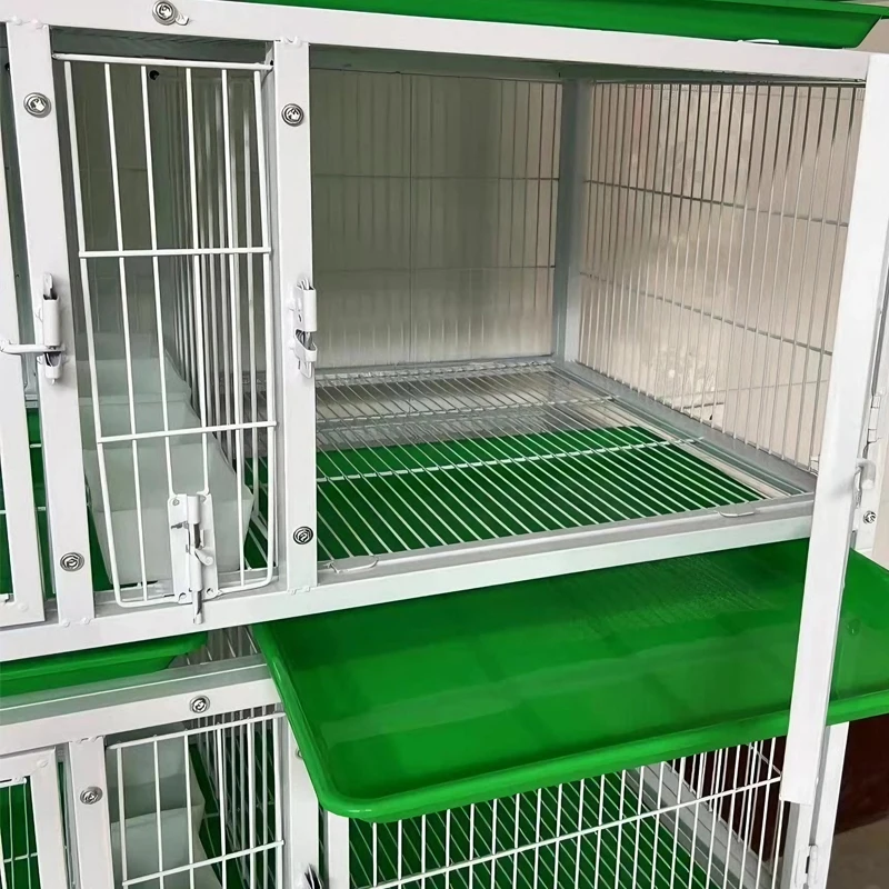 Multi-Layer Racing Pigeon Breeding Cage Galvanized Pipe Iron Wire Stainless Steel Frame Custom Design Plastic Heavy Duty