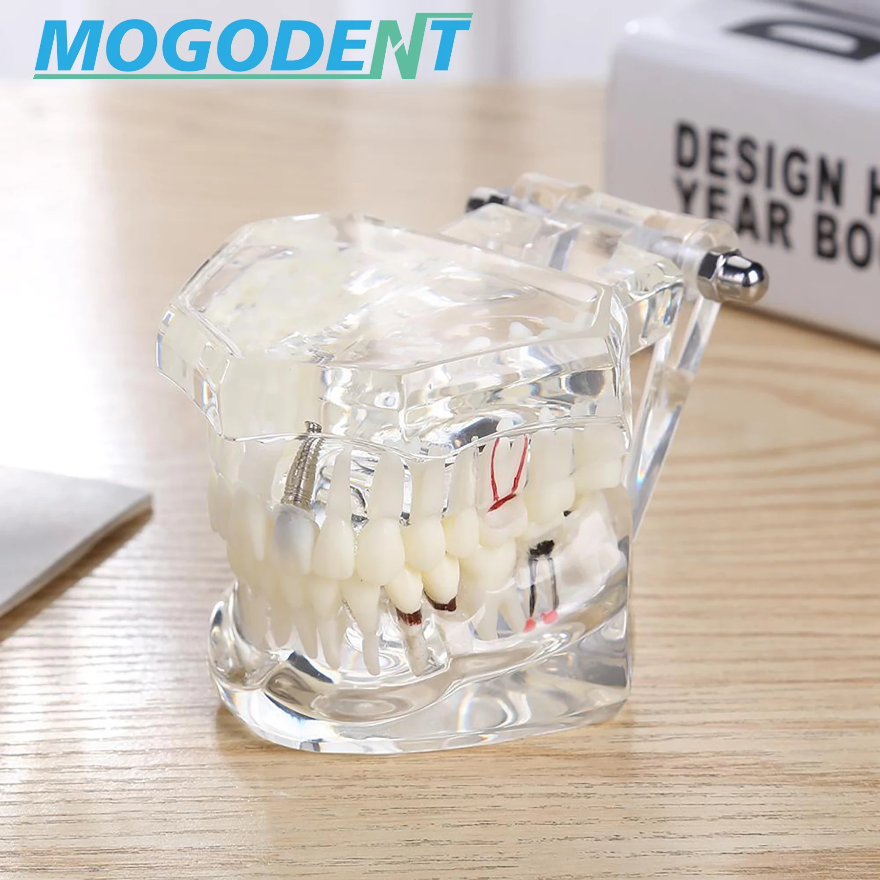 Thumbnail 4 - #63 Dental Teaching Models List of Top Picks