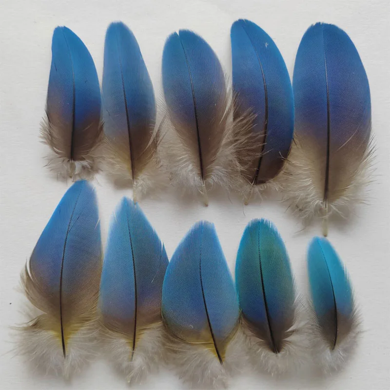 

10 шт./лот! Опуховые перья природного синего попугая длиной 5-8 см, верхние перья, используемые для зимородок, украшения ювелирных изделий