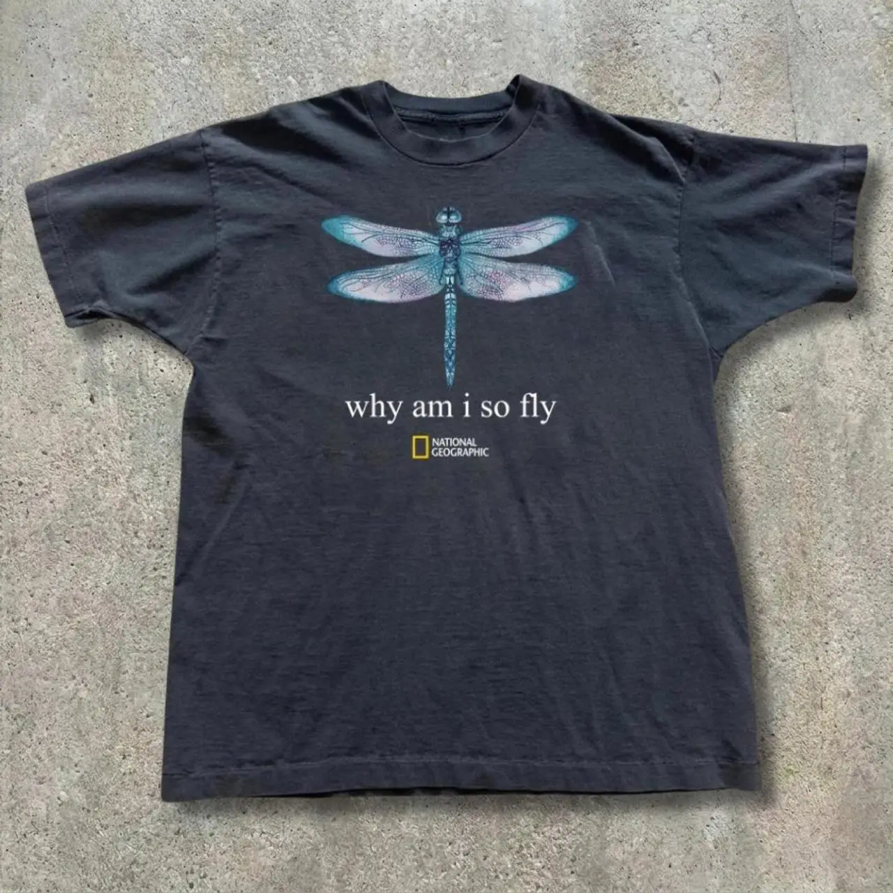 Schwarzes National Geographic T-Shirt mit Libellen-Grafik und Text "Why Am I So Fly" in Blau – Detail 3