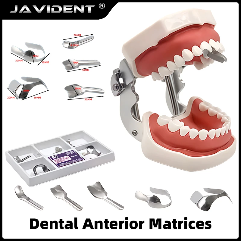 Dental Molding Sheet Set | Stainless Steel Bean-Shaped Molding Sheets | Materials Specifically Designed for Dental Fillings