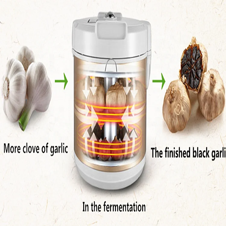 automatic fermented black garlic machine with high capacity and efficiency