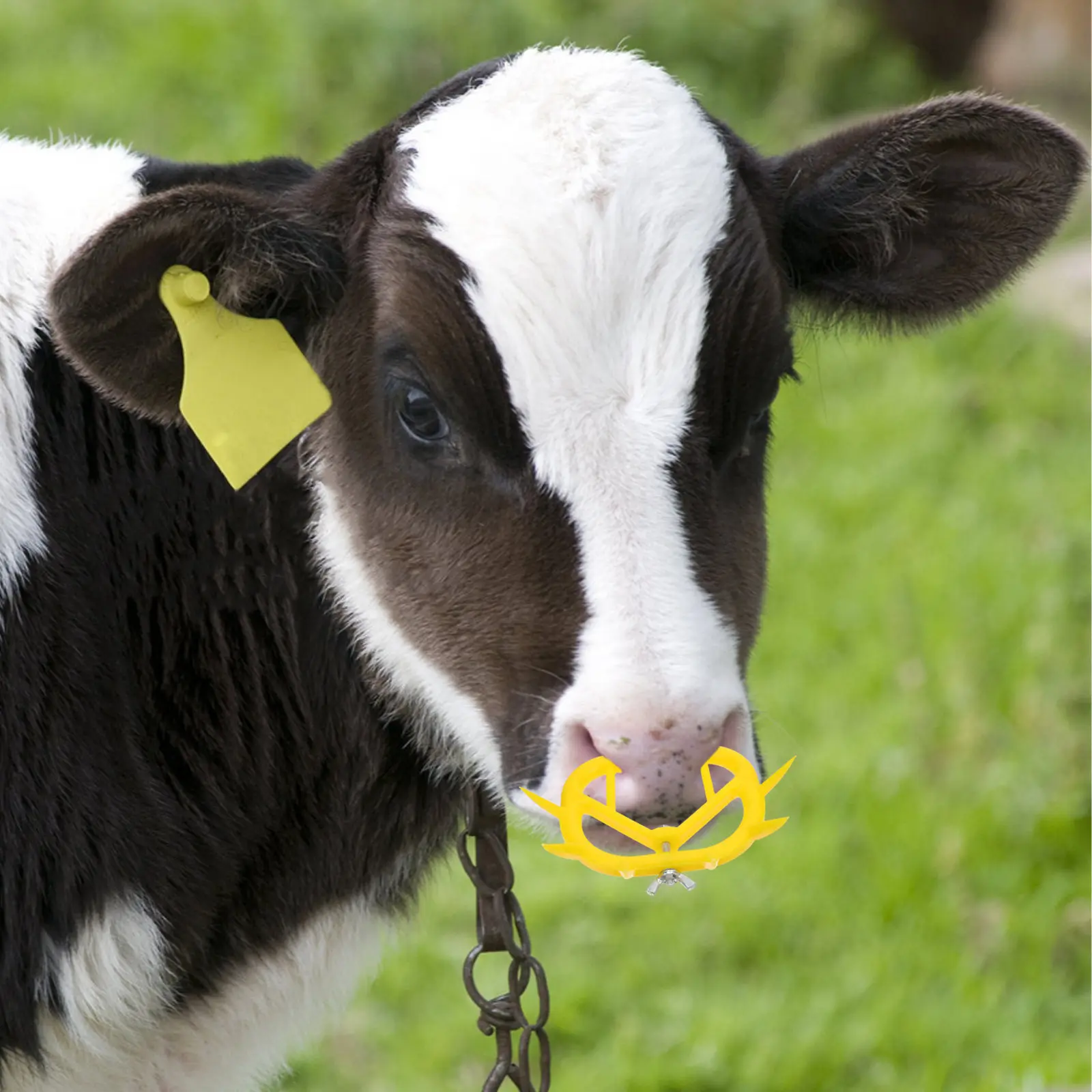 12Pcs Calf Weaning Nose Rings Plastic Adjustable Cattle Nose Thorn Tool Farm Livestock Anti-Sucking Weaner Device