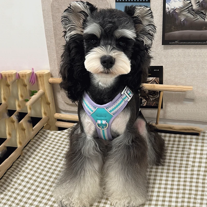 

Ремень для жилета для собак с рефлексивным ремнем, поводок для домашних животных, грудь, дрессировка собак для средних и больших собак, взрывозащищенный