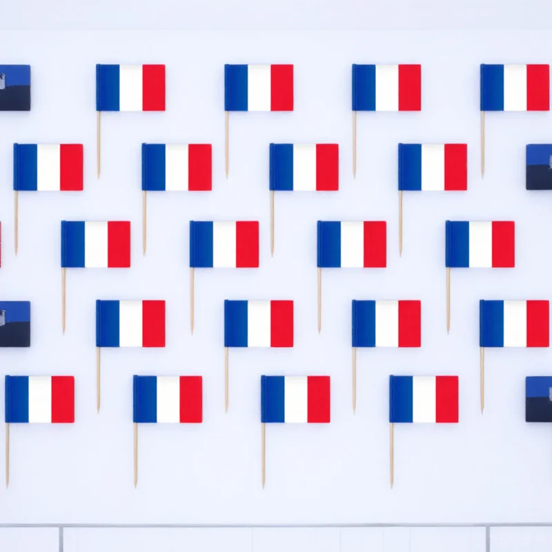 

200Pcs Cocktail Flag Picks National Flag Design Disposable Fruit Toppers Party Appetizer Dessert Toppers Beverage Picks