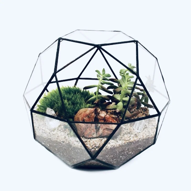 Polyhedron Geometric Glass Terrariums Creative Geodesic Dome Terrariums for Plants Succulents Flowers Home Garden Decoration