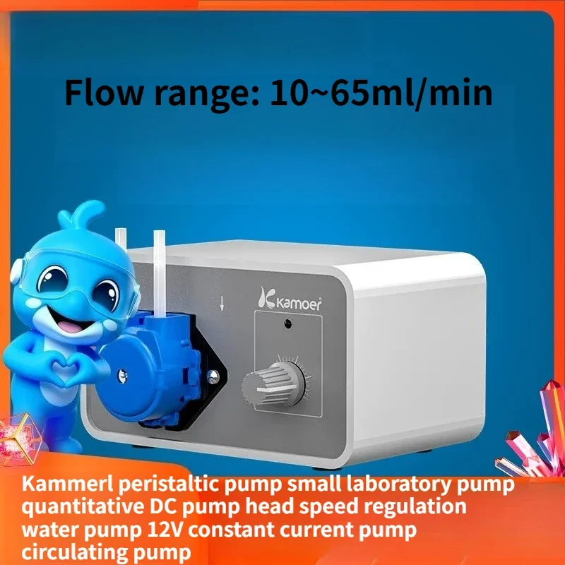 Quantitative DC Brush Motor, Start and Stop Speed Regulating Water Pump 12V Constant Current Pump Circulating Pump