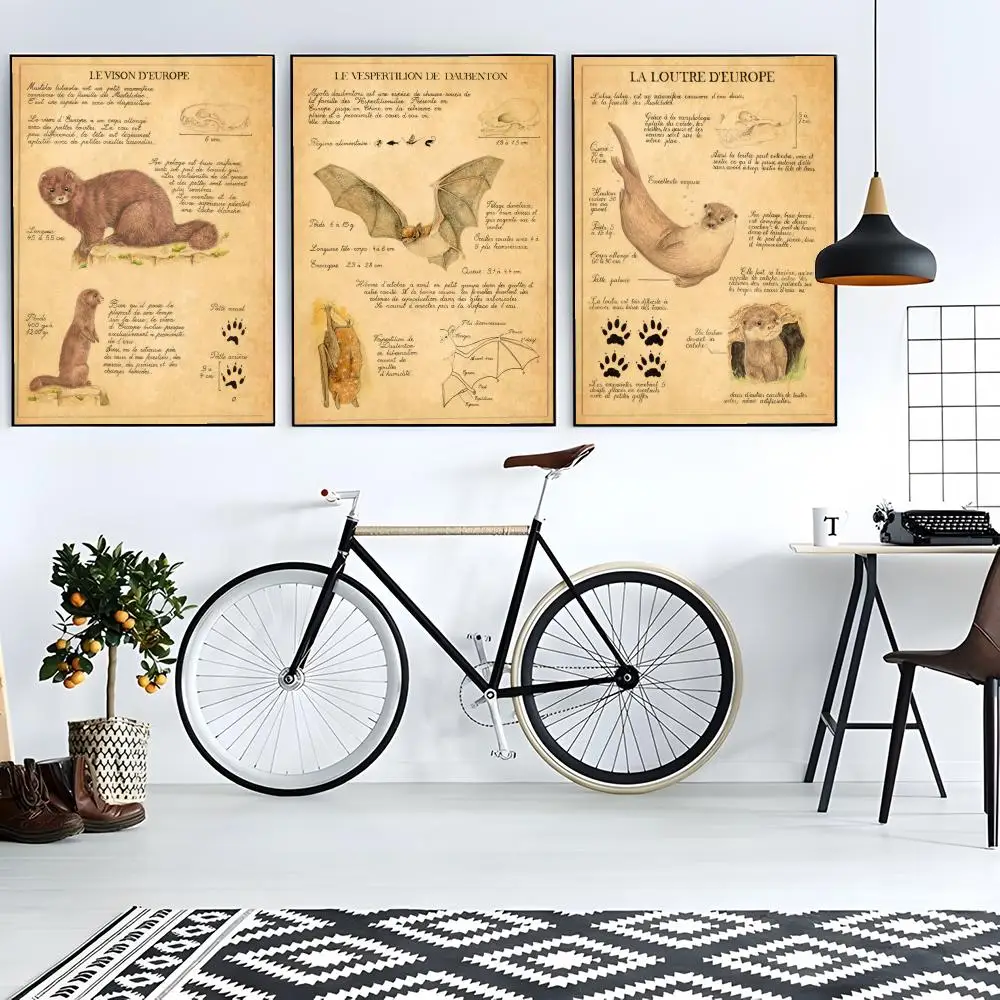 Bat Turtle Deer Wildlife Anatomy Laboratory Poster retro art restaurant bar decoration view 2