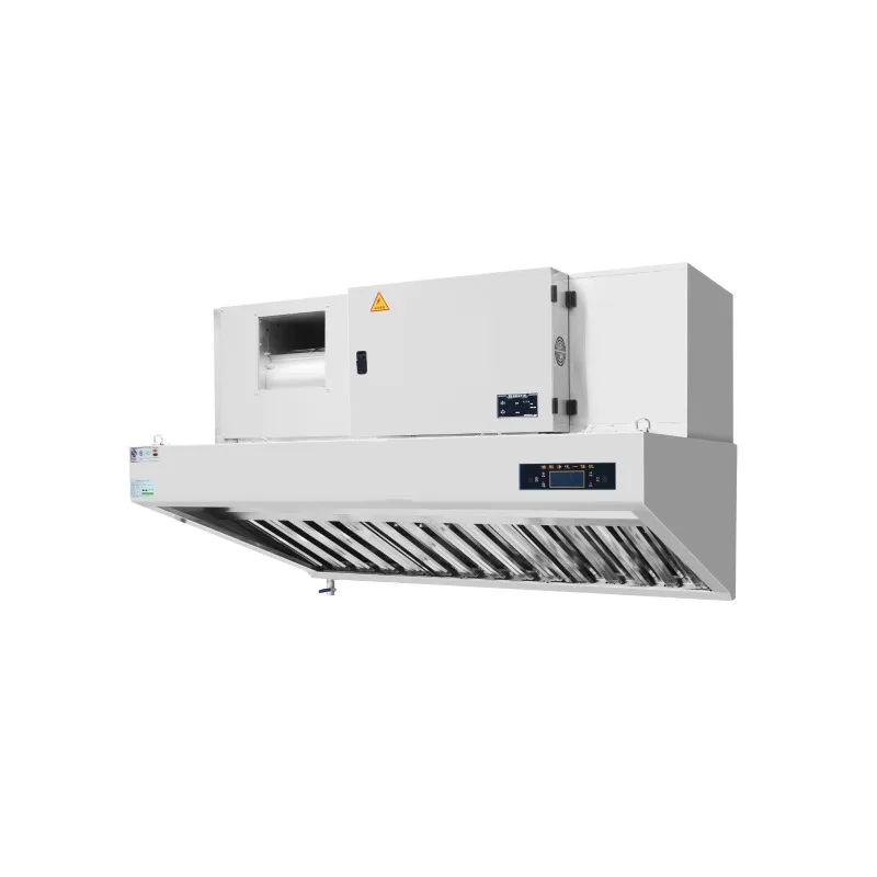 New Year provides purification efficiency 90% -98% fume purifier ESP hood restaurant kitchen hood