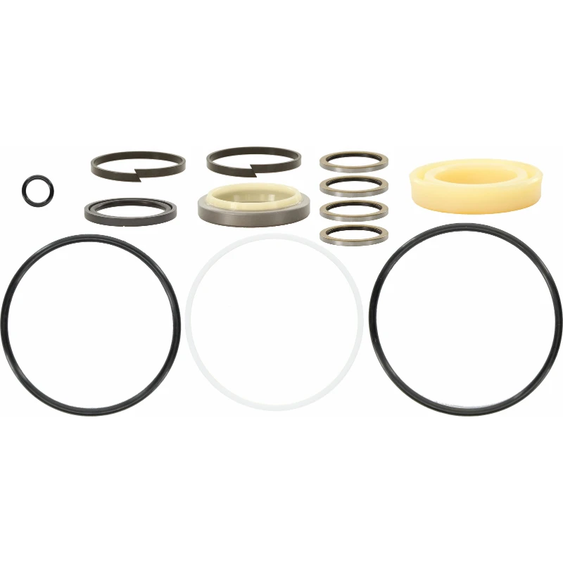 

Seal Kit 2519845 For CAT Several