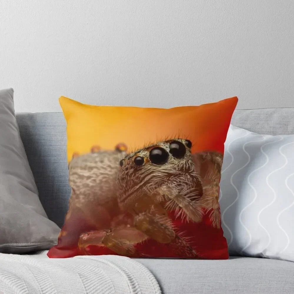 

(Servaea vestita) Jumping Spider On Rose #3 Throw Pillow Decorative Sofa Cushions Cushions Cover christmas ornaments 2025 pillow