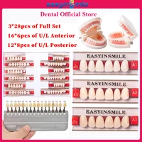 16/12 juegos/caja dentadura Dental dientes superior Anterior inferior Dentier dientes A1 A2 A3 polímero sintético modelo de dientes de educación Dental