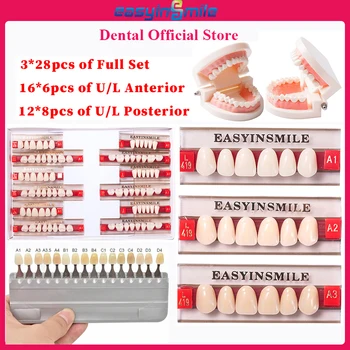 16/12 takım/kutu Diş Protez Diş Üst Ön Alt Dentier Diş A1 A2 A3 Sentetik Polimer Diş Eğitimi diş Modeli