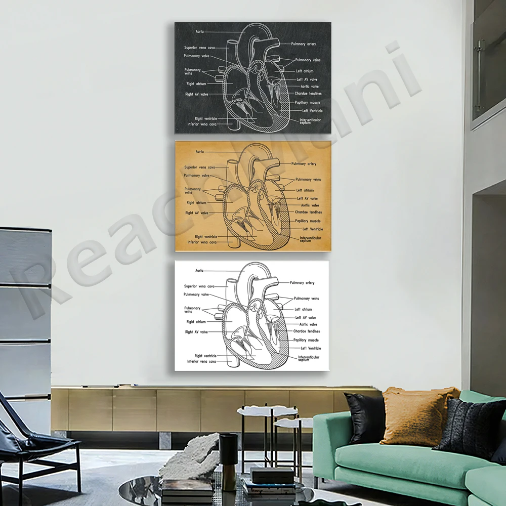 Heart Poster Anatomy Art Print, Medical Student Gift, Biology Poster,