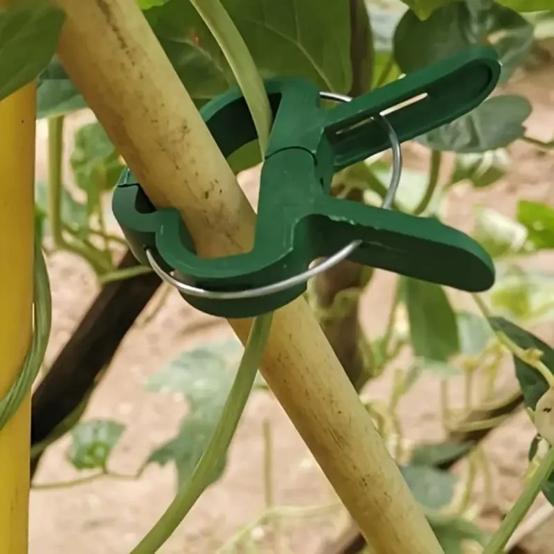 30Pcs Plant Fixed Clips Reusable Greenhouse Bracket for Fixing Stems of Flower Vine Vegetables Tomatoes Fastener Garden Supplies