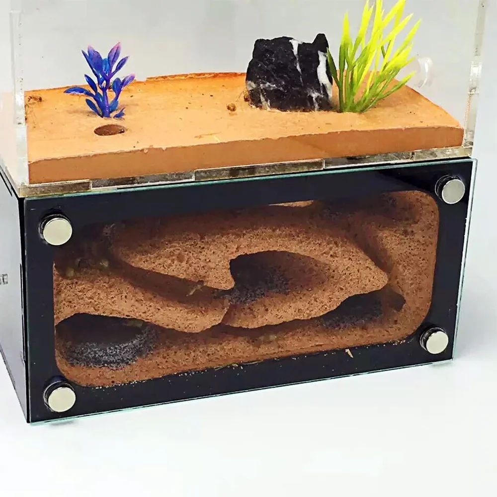 High Quality Concrete Ecological Ant Farm Acryl Ant House Pet Anthill Workshop Castle Sand Nest Sandcastle Insect Box 14*7*14CM