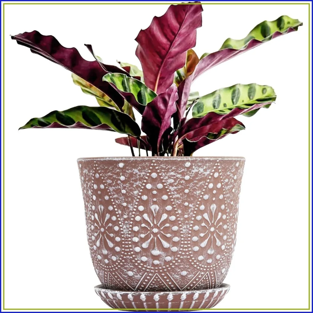 10 Inch Ceramic Planter with Drainage Saucer