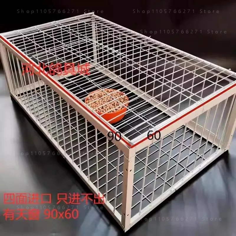 Custom Foldable Galvanised Pigeon Bird Trap Cage Humane One-way Entrance for Feral Pigeons Doves