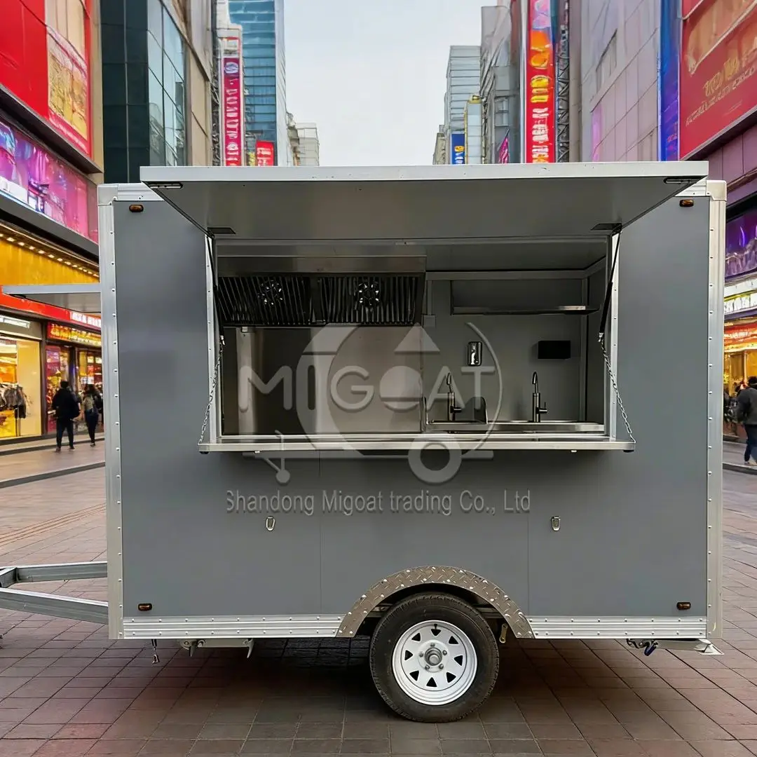 Multifunctional Mobile Food Trailer for Night Market Fried & BBQ Catering Food Truck Portable Kitchen for Street Food